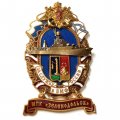 Знак За службу России в ВМФ. МПК &quot;Зеленодольск&quot;