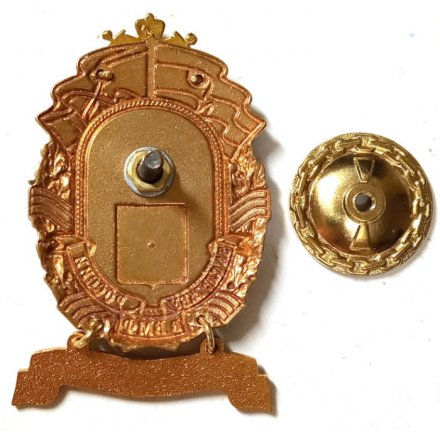 Знак За службу России в ВМФ. МПК &quot;Зеленодольск&quot;