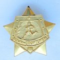 Значок &quot;Воин - спортсмен&quot; IlI степени, винтовой (золотой цвет)