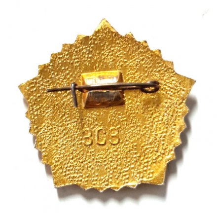 Значок Готов к труду и обороне СССР. 1 степень  (золотистый)