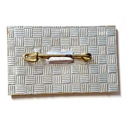 Значок Ветеран строительного треста №30 Главзапстроя Минстроя СССР