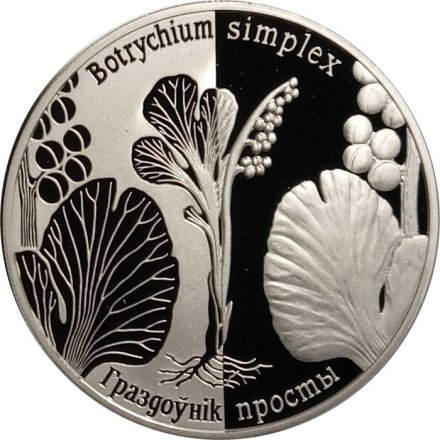Беларусь 1 рубль 2014 год - Возрожденные растения. Гроздовник простой