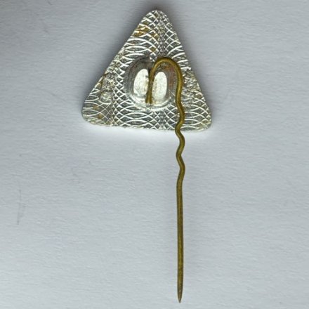 Значок. Медео Коньки Елка