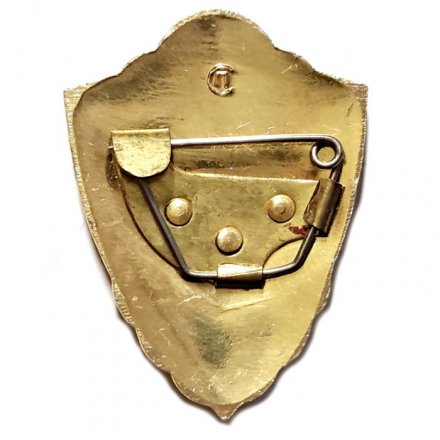 Знак классности для военнослужащих. 2 класс, легкий, булавка