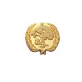 Знак Ветеранам Афганцам
