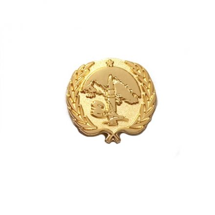 Знак Ветеранам Афганцам