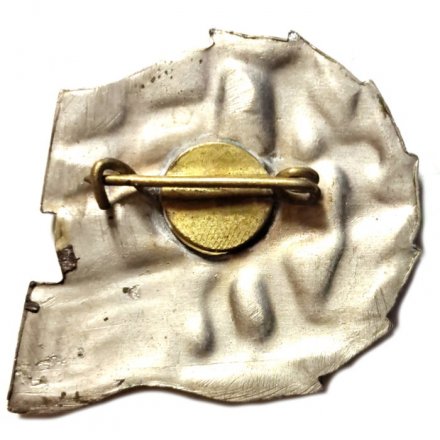 Значок Флот. Артиллерийский катер