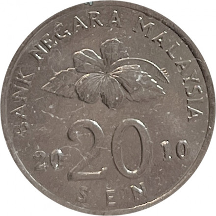 Малайзия 20 сен 2010 год - Флора