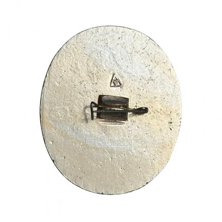 Значок Владимир. Троицкая церковь XХ в.