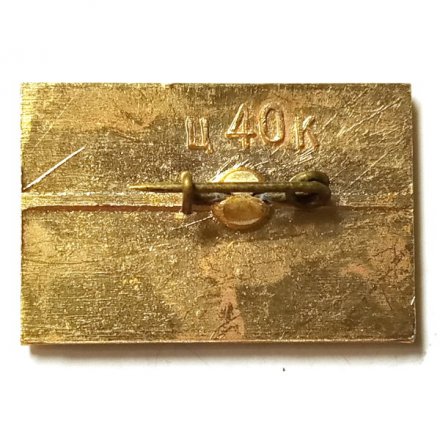 Значок Луга. Пансионат имени Воровского. Ленинградская область