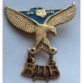 Знак ВДВ, орел и самолет с подвеской