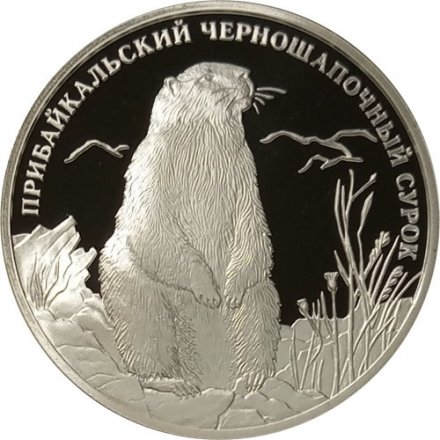 Россия 2 рубля 2008 год СПМД - Красная книга. Прибайкальский Черношапочный сурок