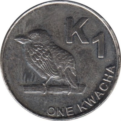 Замбия 1 квача 2014 год - Замбийский дятел