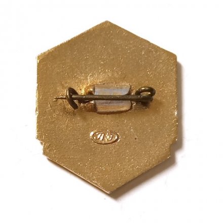 Значок ДСК-3 Ленинград. Домостроительный комбинат