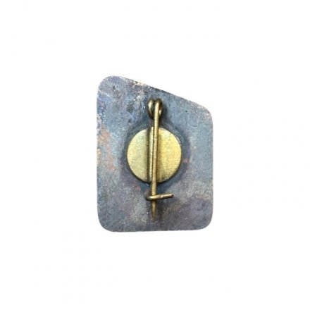 Значок Эстония. ERVM. Музей