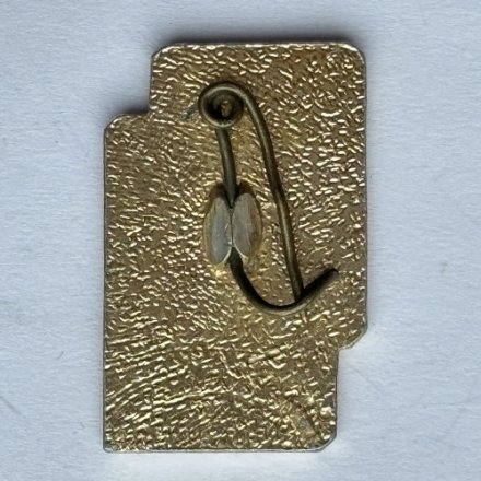 Значок. Писатель Сейфуллин 1894-1964г 100л