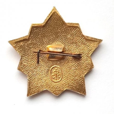 Значок &quot;Воин - спортсмен&quot; I степени, булавка