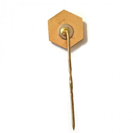 Значок РЭЗ Рижский электромашиностроительный завод. Латвийская ССР (красный) 