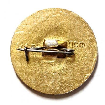 Значок Железноводск. КМВ