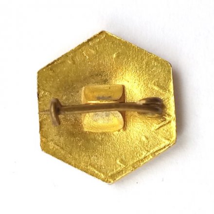 Значок Bulgarie. Болгария. LGA