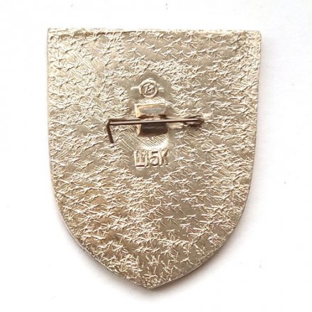 Значок СССР-СРВ Союз-37 Салют-6 1980