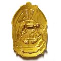 Знак Северный флот (СФ)