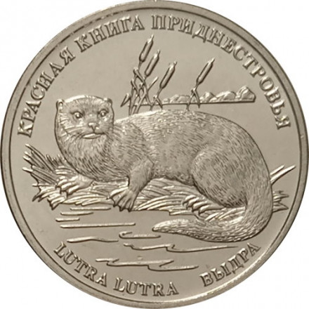 Приднестровье 1 рубль 2018 год - Красная книга Приднестровья. Выдра