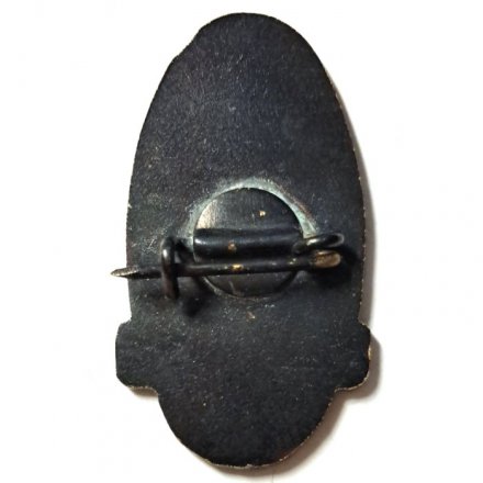 Значок Л/К &quot;Ермак&quot;, тяжелый