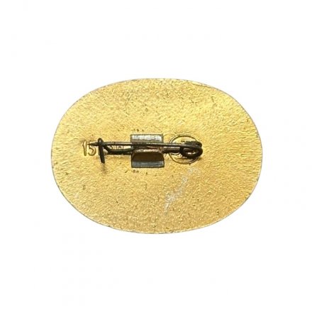 Значок Ульяновск - Родина Ленина 1870-1970. Дом-музей В. И. Ленина