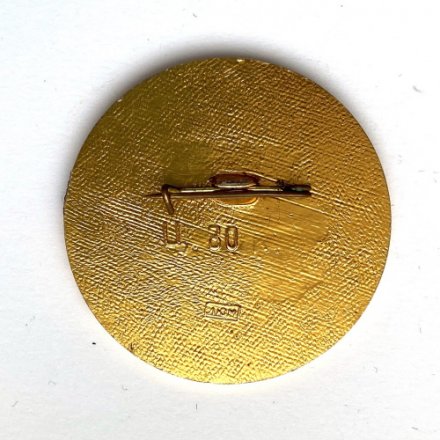 Значок. Чемпионат мира и Европы по хоккею. Москва 1973