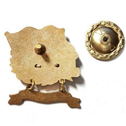 Знак За дальний поход. ГИСУ &quot;Сенеж&quot;. Флаг ВМФ России