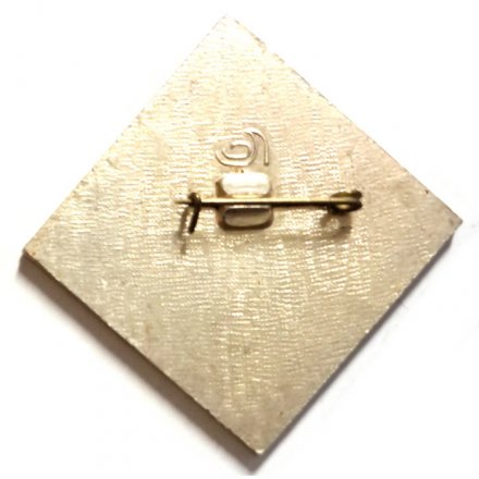 Значок Выборгский район. Массовый пробег. Испытай себя 1987