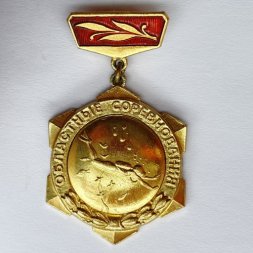 Значок. Областные соревнования. Подводное плавание