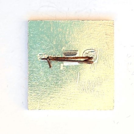 Значок. Советские борцы Чемпионы Мира 1969