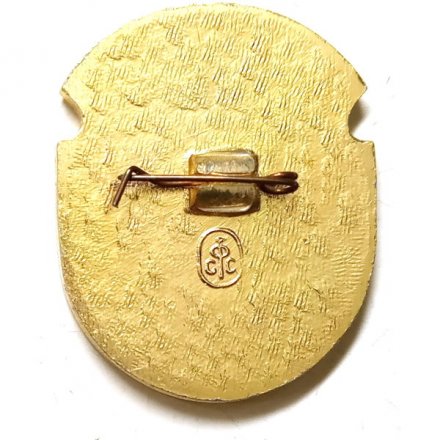 Значок Воскресенск. Московская область. Гербы Подмосковья (Овалы)