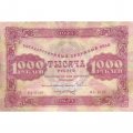 РСФСР 1000 рублей 1923 год - кассир А.Сапунов - VF