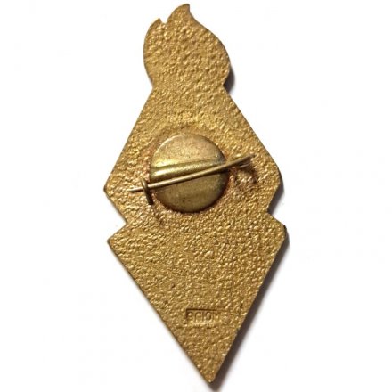 Значок Пионерский клуб интересных встреч КИВ 206 школа Ленинград, тяжелый