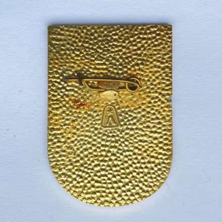 Значок. Советскому союзу 50 лет. 1922-1972
