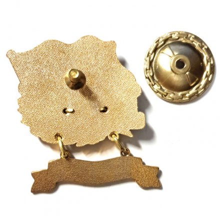 Знак За дальний поход. ГИСУ &quot;Вице-адмирал Воронцов&quot;. Флаг ВМФ России