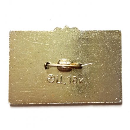 Значок Дружба городов. Ленинград - Turku