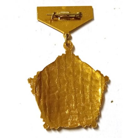 Знак &quot;Ветеран труда&quot;, булавка
