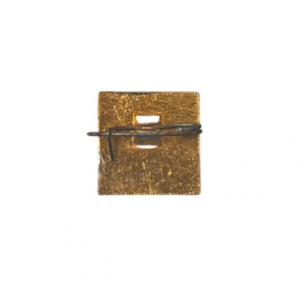 Значок. ОСВОД 100 лет