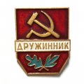 Значок &quot;Дружинник&quot;, легкий