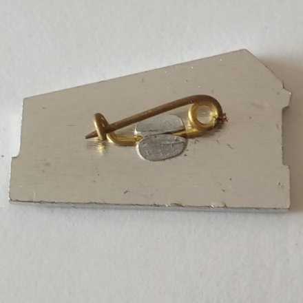 Значок &quot;Петродворцовый часовой завод&quot;