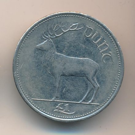 Ирландия 1 фунт 1999 год