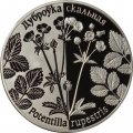 Беларусь 1 рубль 2017 год - Лапчатка скальная