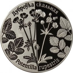 Беларусь 1 рубль 2017 год - Лапчатка скальная