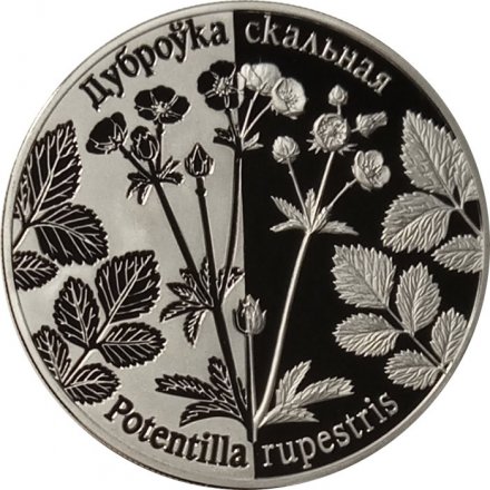 Беларусь 1 рубль 2017 год - Лапчатка скальная
