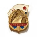 Значок Эскадренный миноносец &quot;Смышленый&quot;, легкий