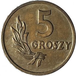Польша 5 грошей 1949 год (бронза)